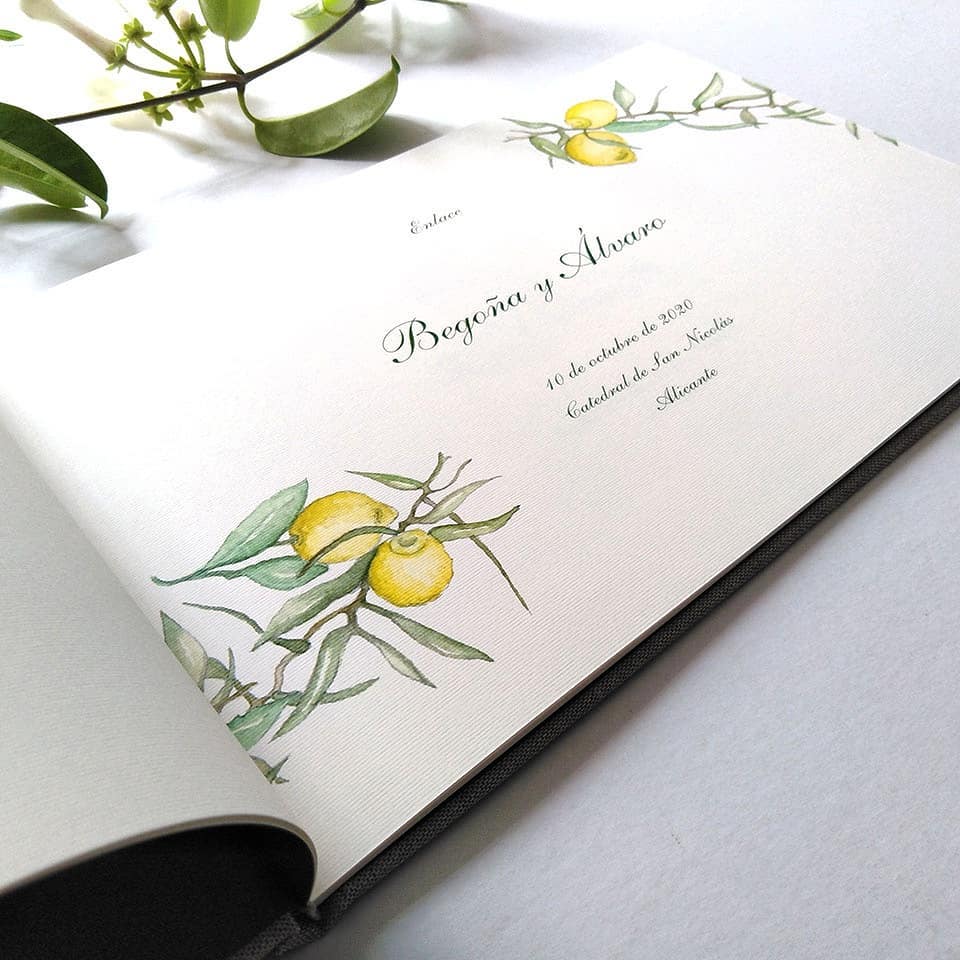 Libro-de-firmas-ilustracion-MAR